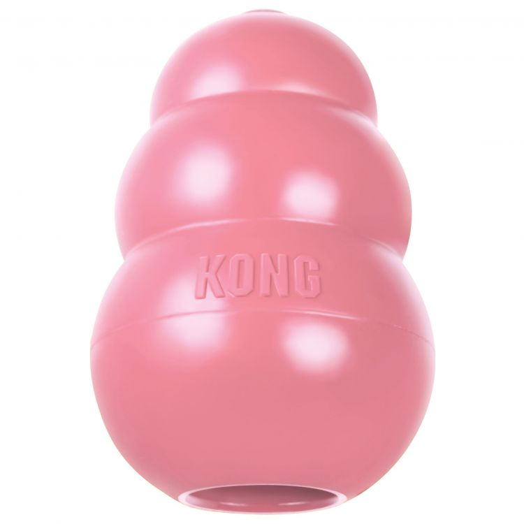 KONG Puppy